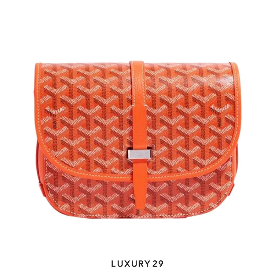 Goyard Belvedere PM Bag Orange