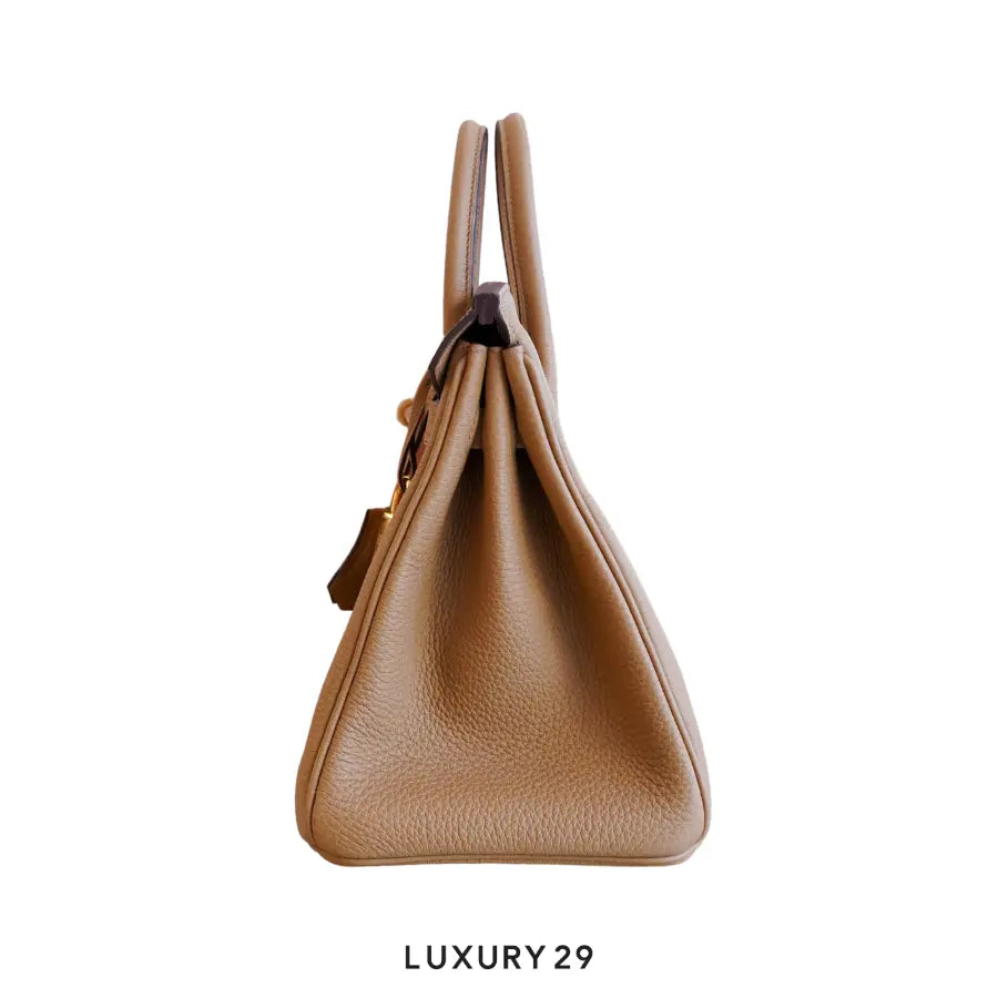 Hermes Birkin 25 Chai toffee Togo Gold Hardware / B Stamp (2023) HERMES