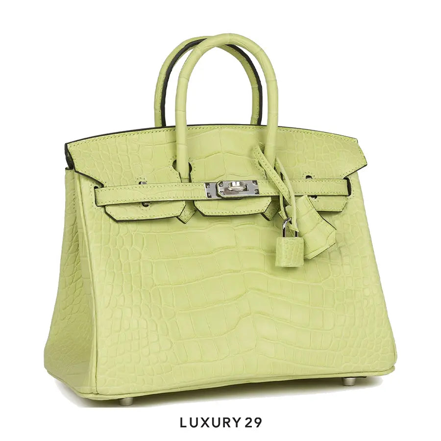 Hermes Sac Birkin 25 Alligator Mississippiensis Mat HERMES