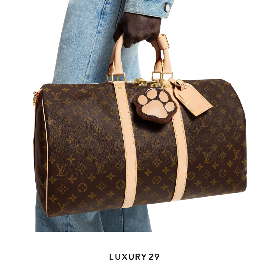 Louis Vuitton LV Paw Key Holder and Bag Charm Browm LOUIS VUITTON