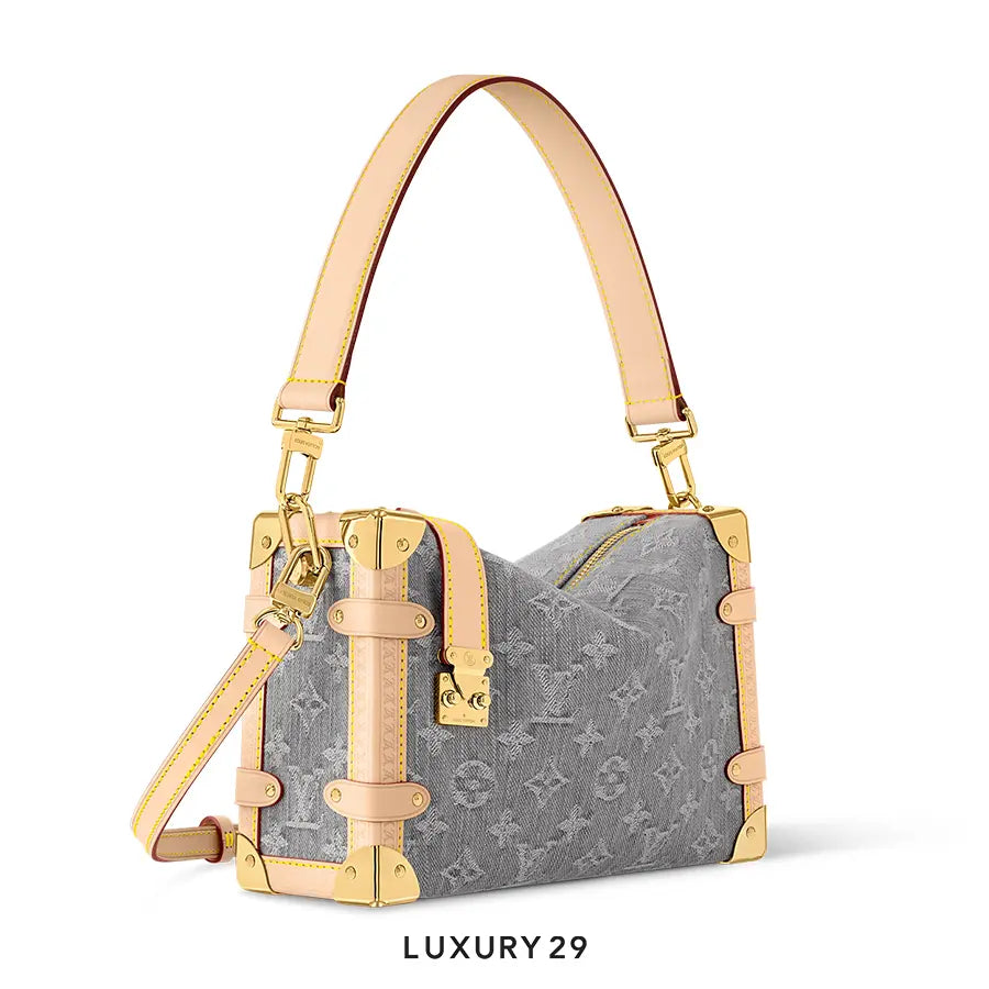 Louis Vuitton LV Side Trunk MM Grey LOUIS VUITTON