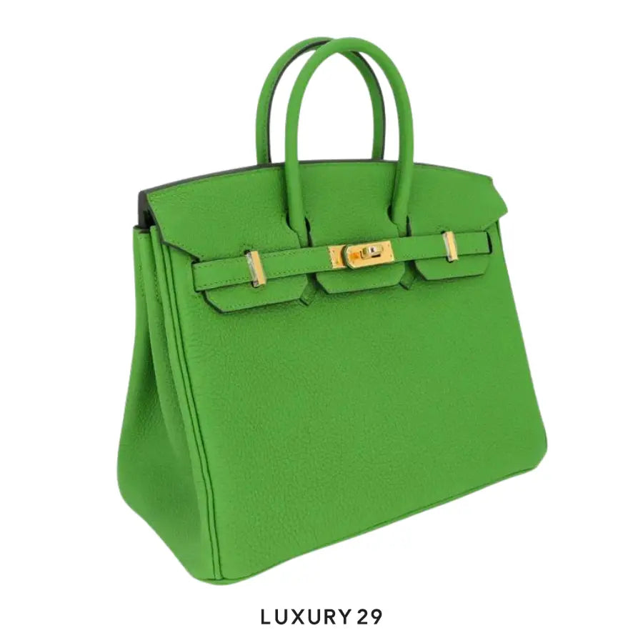 Hermes SAC Birkin 25 Veau Togo AB Vert Yucca / B Stamp (2023) HERMES