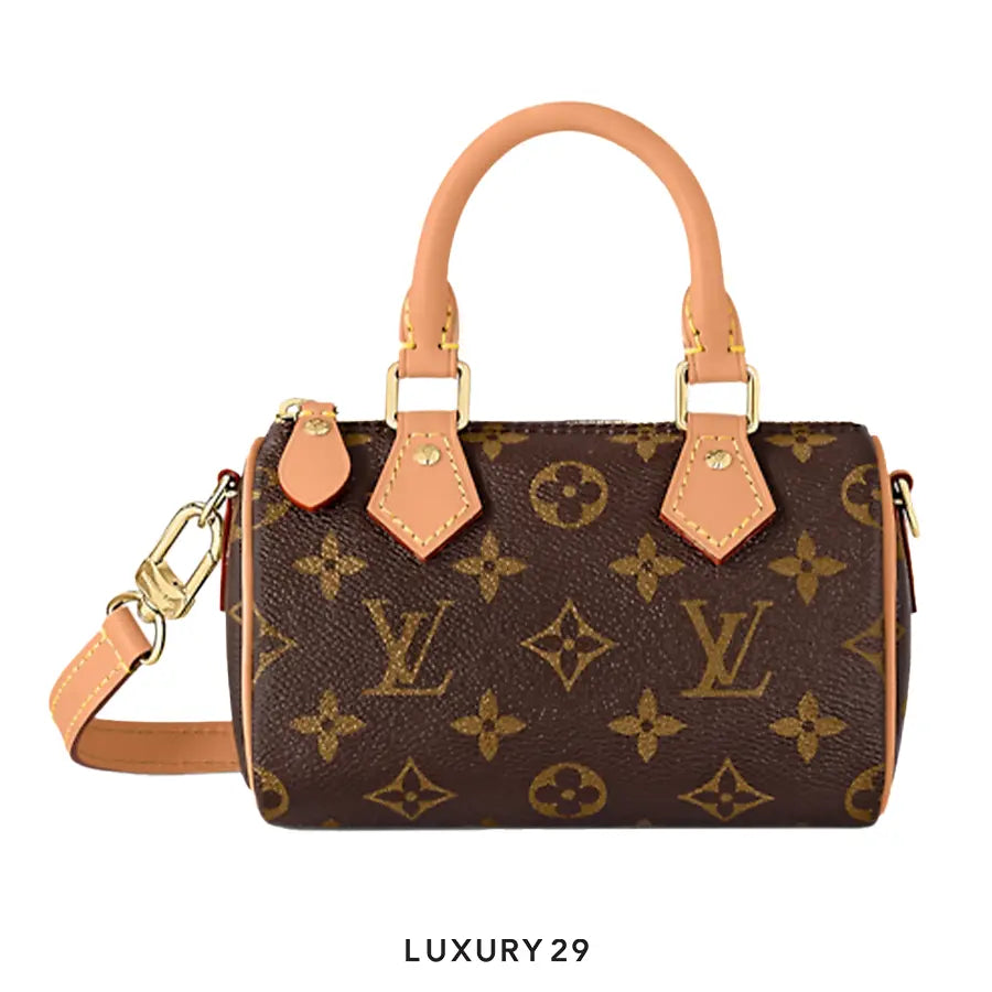 Louis Vuitton LV Nano Speedy Bag