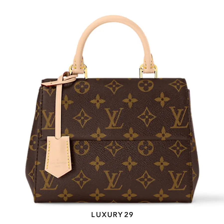 Louis Vuitton LV Cluny Mini