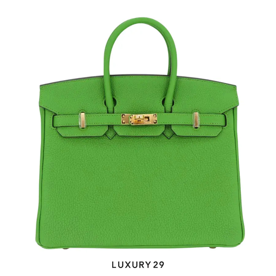 Hermes SAC Birkin 25 Veau Togo AB Vert Yucca / B Stamp (2023)