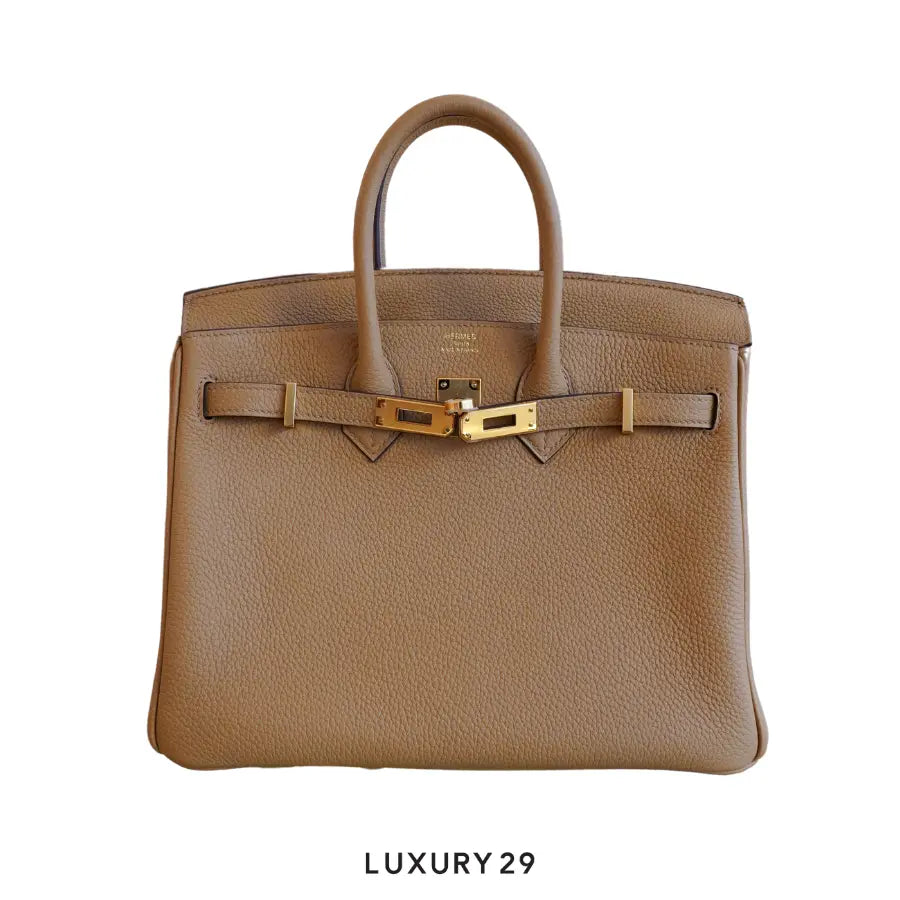 Hermes Birkin 25 Chai toffee Togo Gold Hardware / B Stamp (2023) HERMES