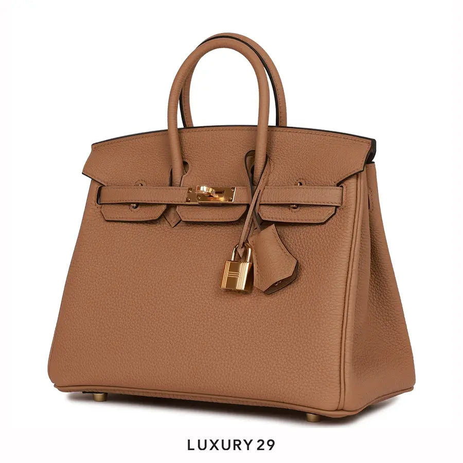 Hermes Birkin 25 Chai toffee Togo Gold Hardware / B Stamp (2023) HERMES