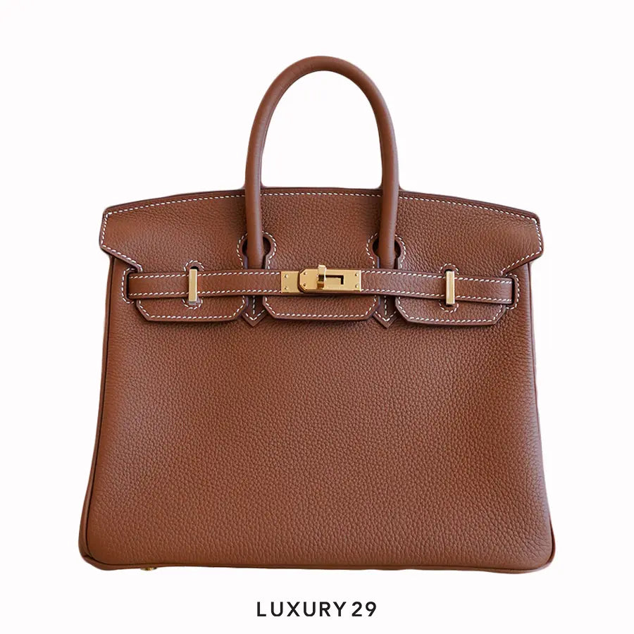 Hermes Birkin 25 Gold Togo Gold Hardware / B Stamp (2023)