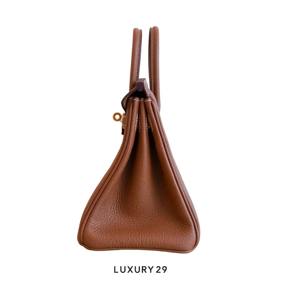 Hermes Birkin 25 Gold Togo Gold Hardware / B Stamp (2023) HERMES