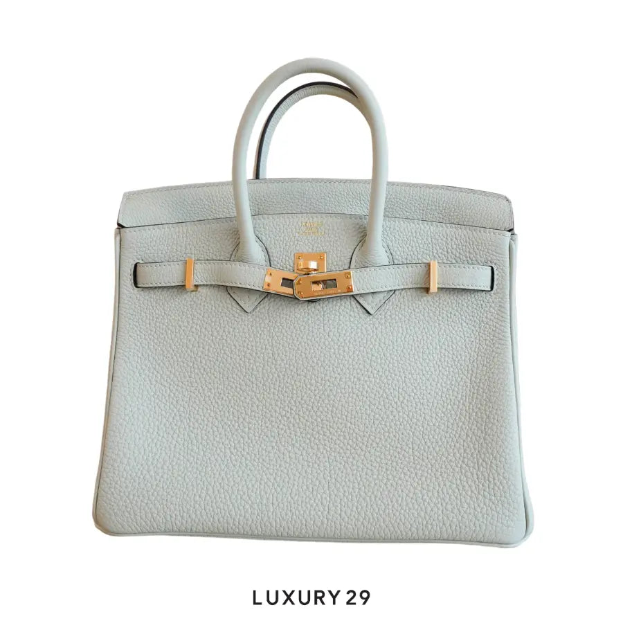 Hermes Birkin 25 Gris Neve Togo Gold Hardware / B Stamp (2023) HERMES