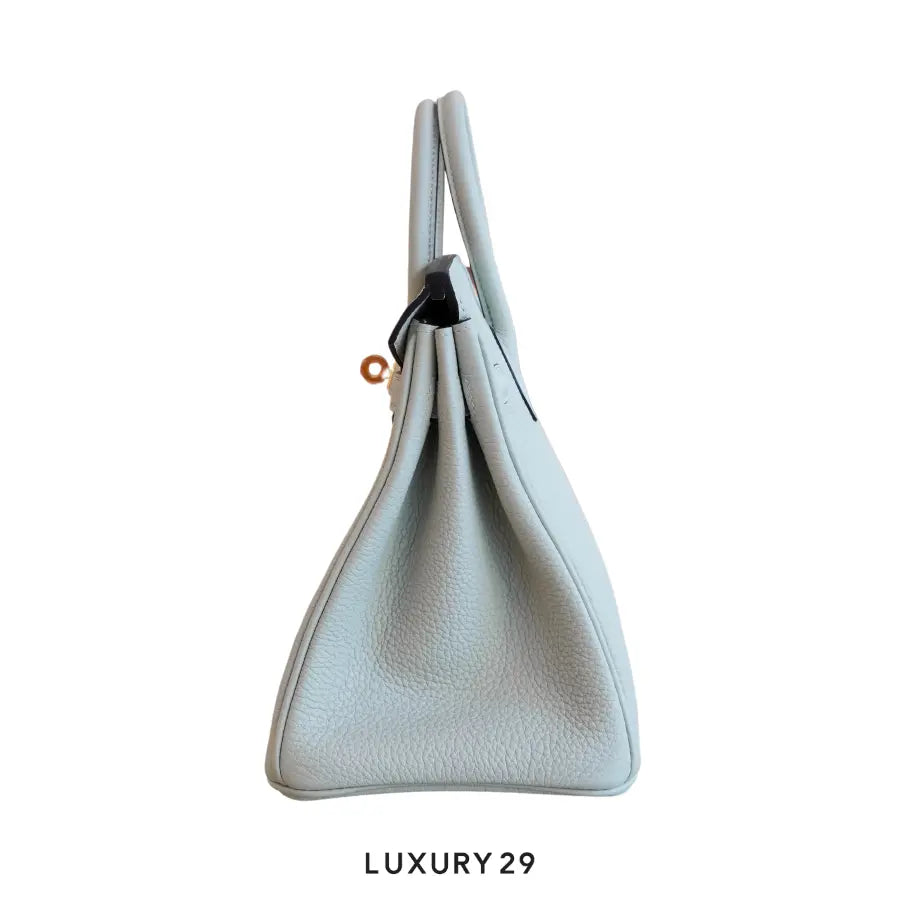 Hermes Birkin 25 Gris Neve Togo Gold Hardware / B Stamp (2023) HERMES