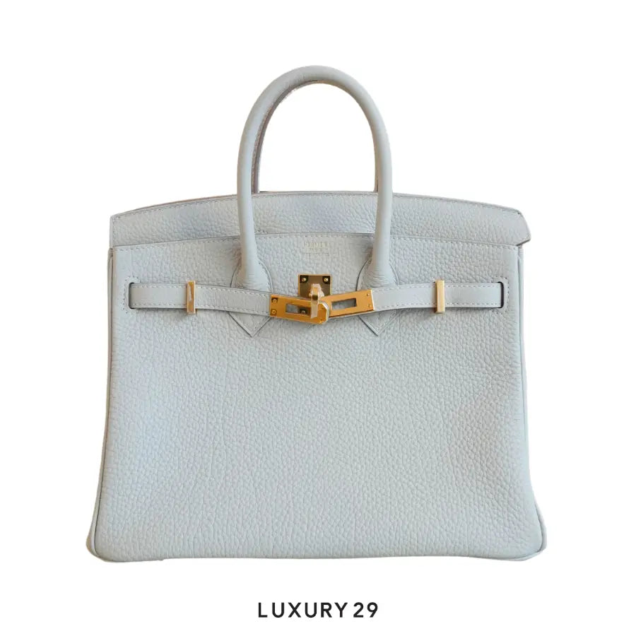 Hermes Birkin 25 Gris Pale Togo Gold Hardware / B Stamp (2023) HERMES