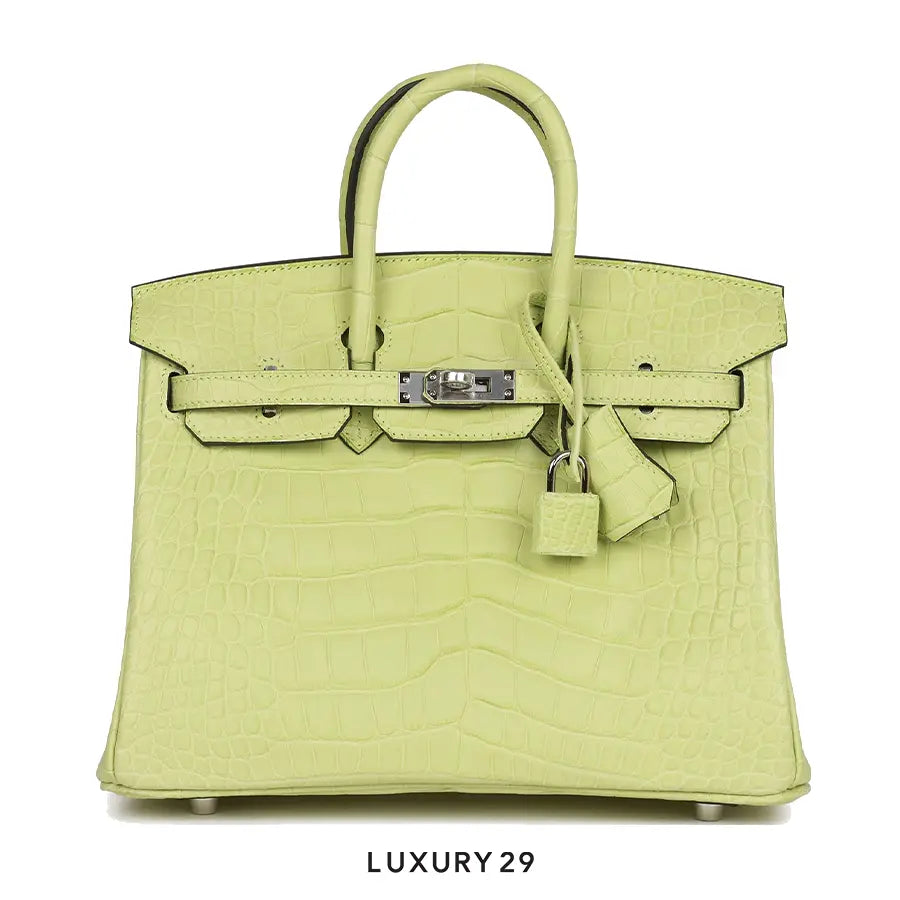 Hermes Sac Birkin 25 Alligator Mississippiensis Mat