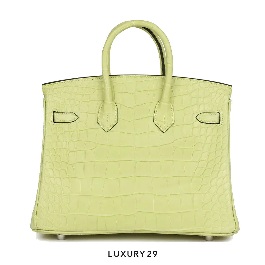 Hermes Sac Birkin 25 Alligator Mississippiensis Mat HERMES
