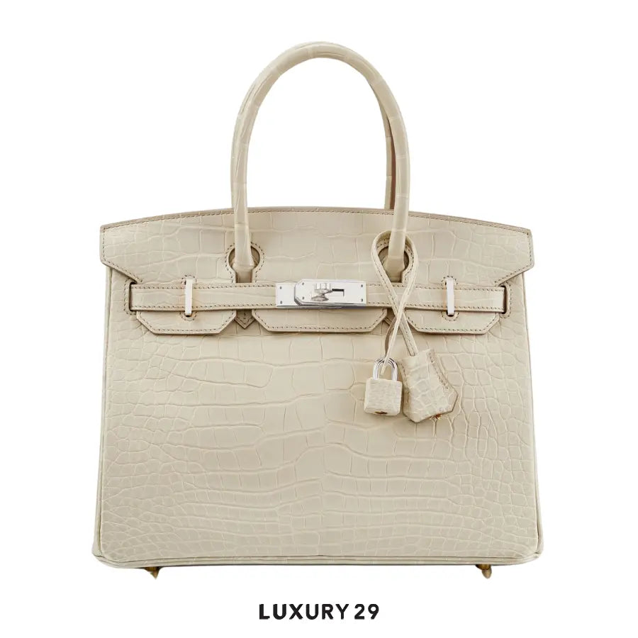 Hermes Sac Birkin Selier 30 Beton Alligator Mississippiensis Mat / W Stamp (2024)