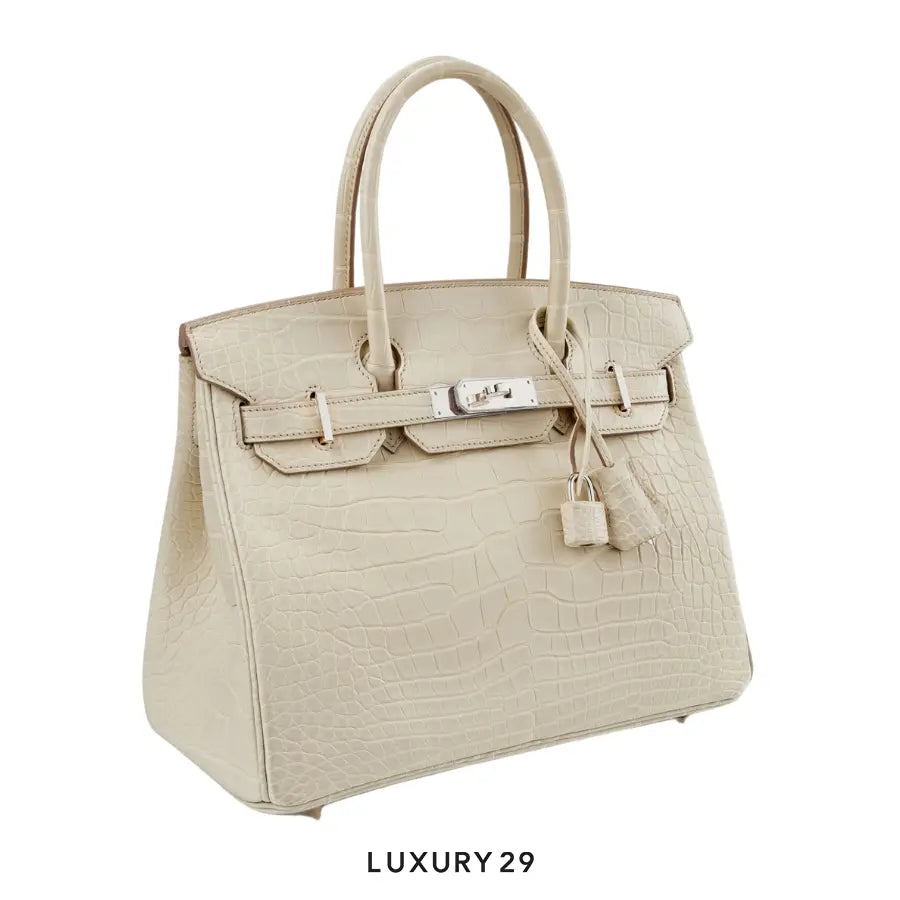 Hermes Sac Birkin Selier 30 Beton Alligator Mississippiensis Mat / W Stamp (2024) HERMES