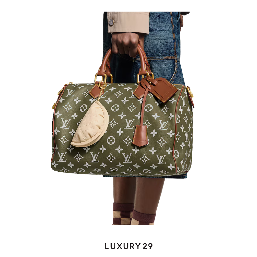 LOUIS VUITTON LV Gyoza key case LOUIS VUITTON