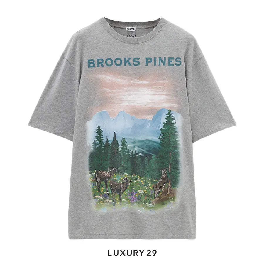 Loewe Loose fit T-shirt in cotton Grey Melange