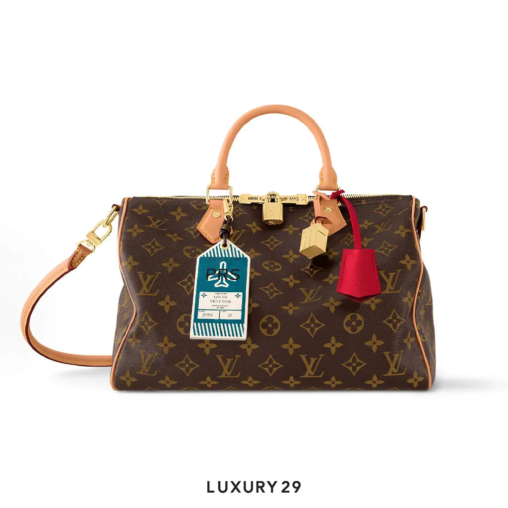 Louis Vuitton LV Monogram Speedy Soft 30 Crafty