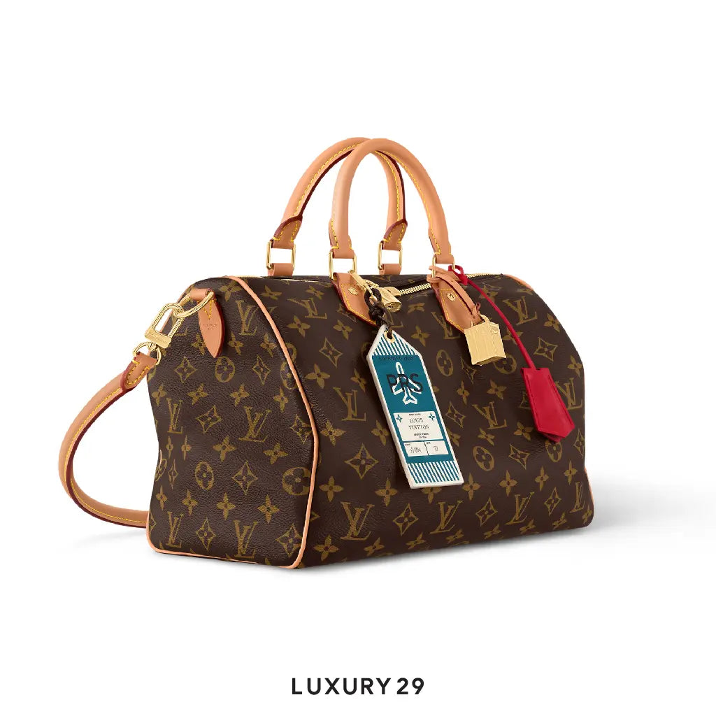 Louis Vuitton LV Monogram Speedy Soft 30 Crafty LOUIS VUITTON