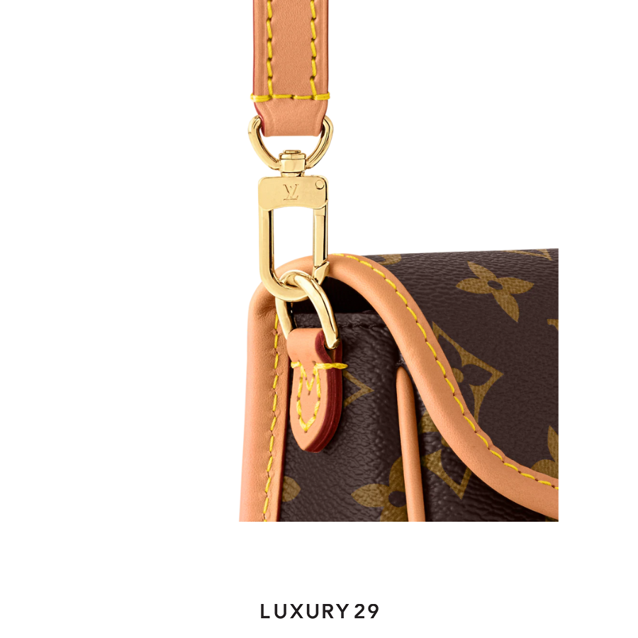 Louis Vuitton LV Nano Diane bag Monogram Canvas Brown LOUIS VUITTON