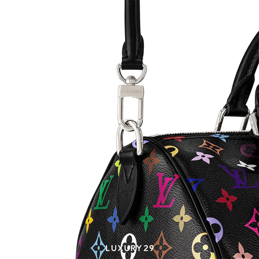Louis Vuitton LV x TM Speedy Soft 30 Monogram coated canvas  Multicolored LOUIS VUITTON