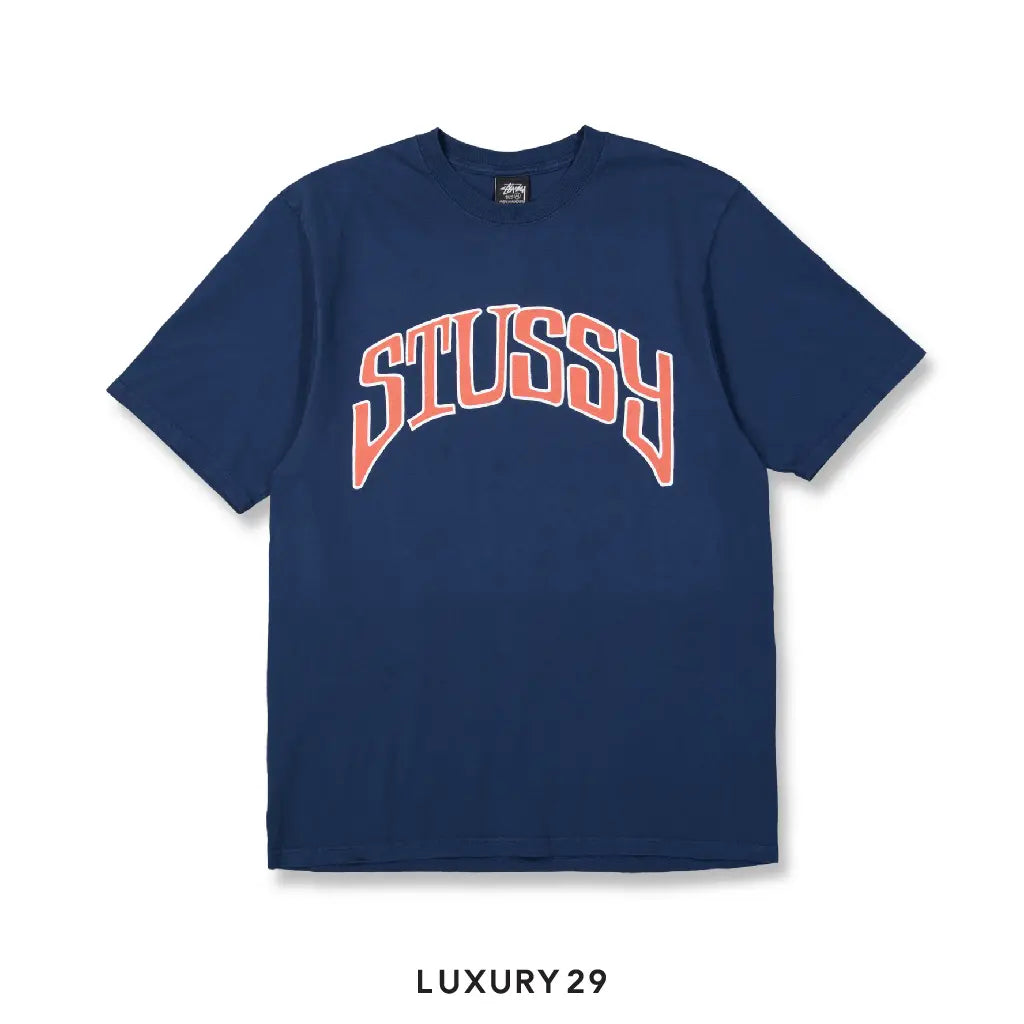 Stussy ARCHED PIG. DYED TEE Navy STUSSY